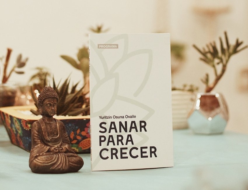 Artículo del blog Sanar para Crecer