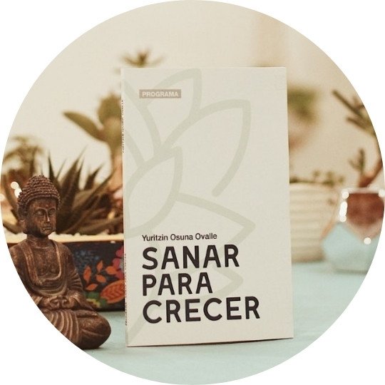 Miniatura del artículo del blog Sanar para Crecer, psicoterapia