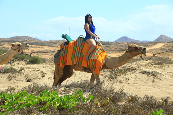 La Vacuidad: Una Mirada Psicológica y Neurocientífica al Origen del Sufrimiento