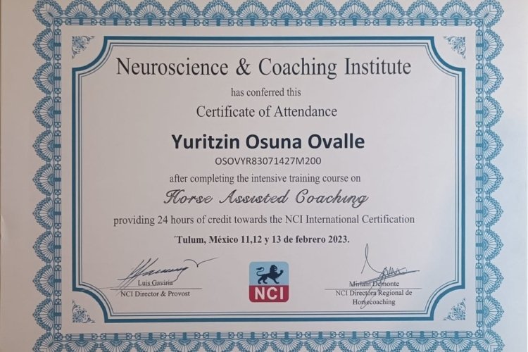 Entrenamiento en Horse Assisted Coaching.