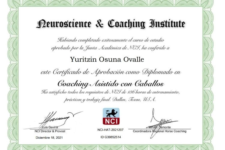 Certificación en Coaching Asistido con Caballos.