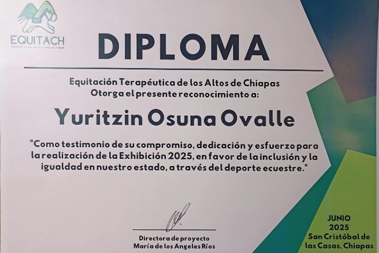 Curso de Reiki Acuario y energía vital.