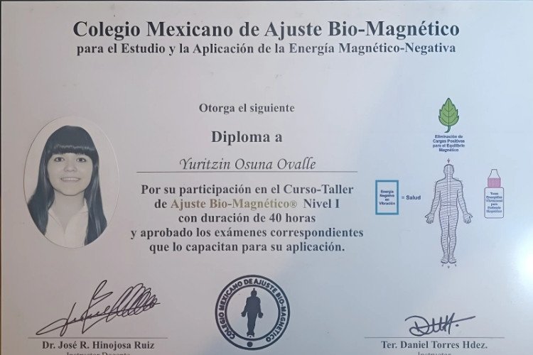 Ajuste Biomagnético Nivel 1 - terapia energética.