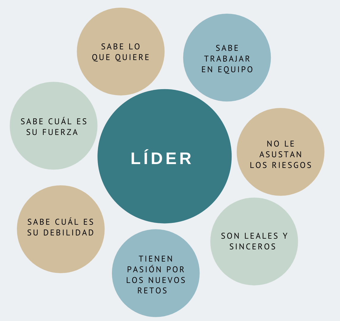 Características del Liderazgo Organizacional